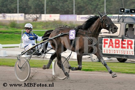 Koers 8. Noble Dolly.jpg
