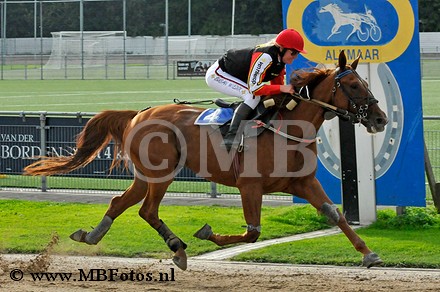Koers 9. Elma Alki1.jpg