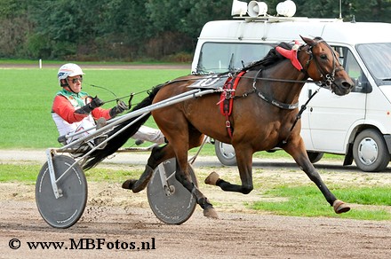 Koers 3. Iyan Stardust1.jpg