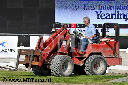 _MBF0811.jpg