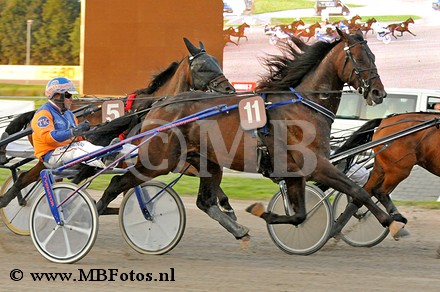 _MBF1616.jpg