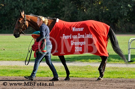 Peerd van ome Loeks.jpg