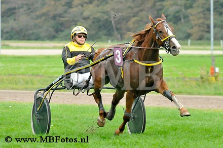 Koers 8. Giga Beuckenswijk1.jpg