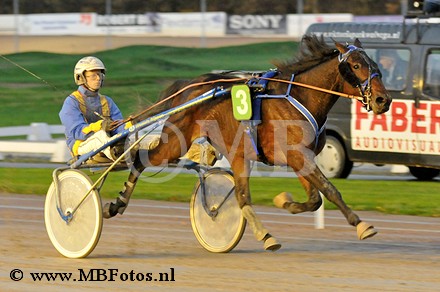 Koers 4. Jewel Star.jpg