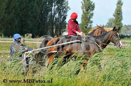 _MBF4035.jpg