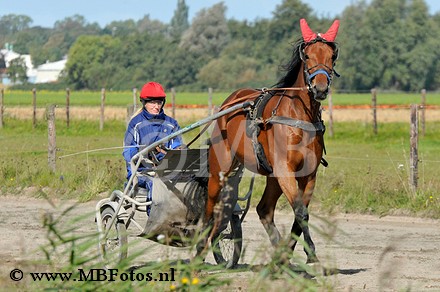 _MBF4112.jpg