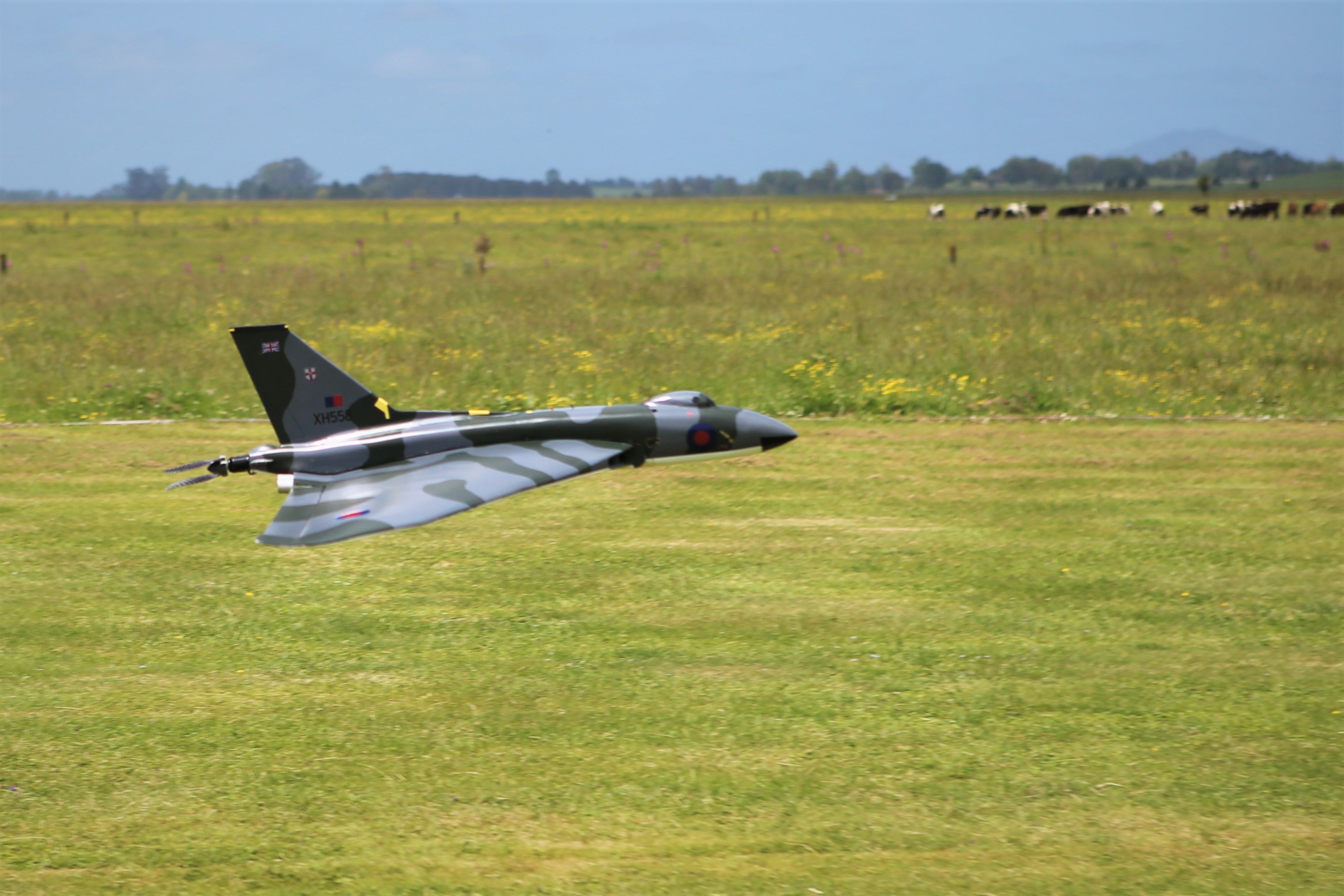A Vulcan pusher landing, IMG_2262.JPG