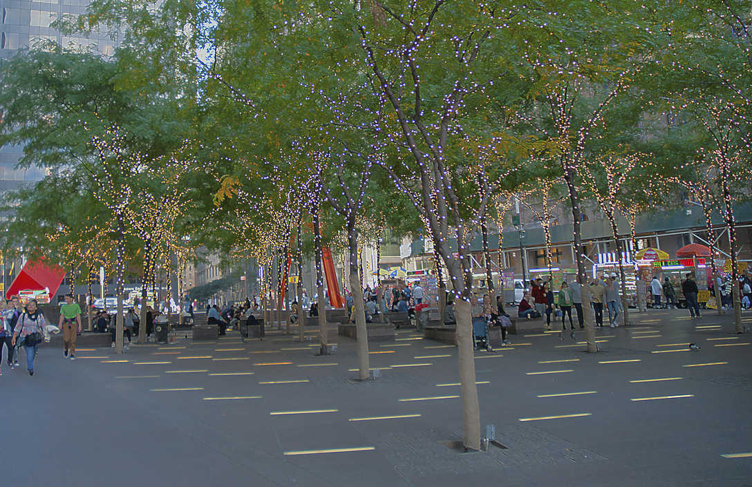 Walkway and Park