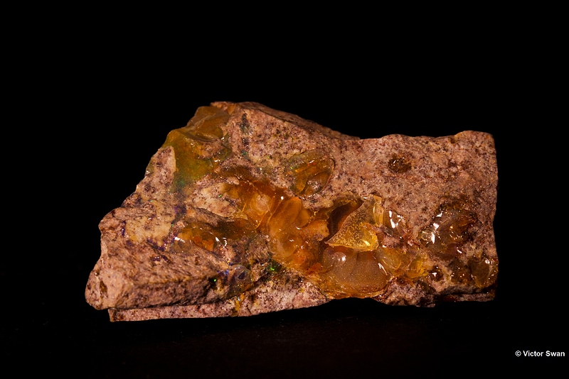 0029-Edelopaal.JPG