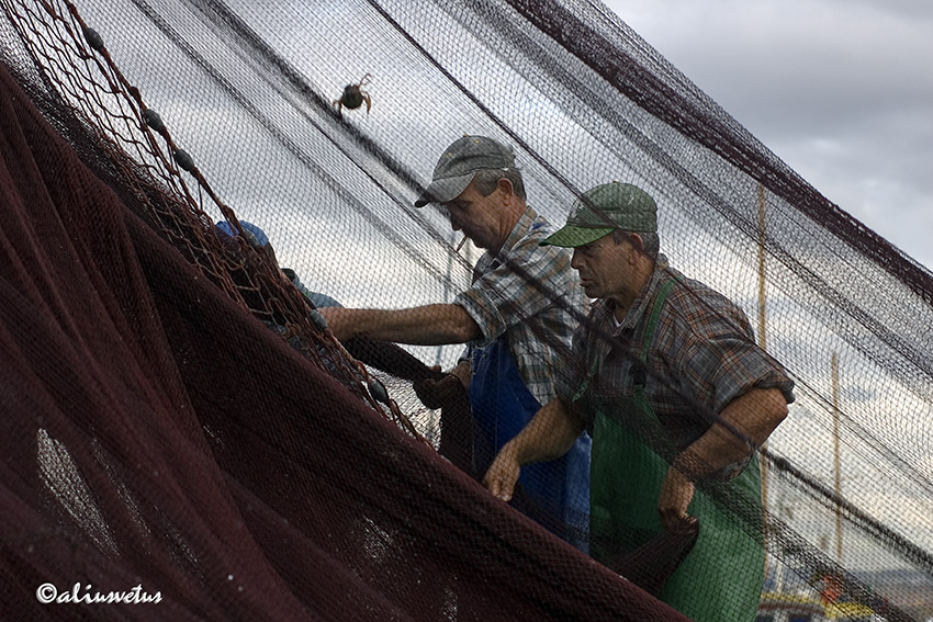 Net_Connection I
