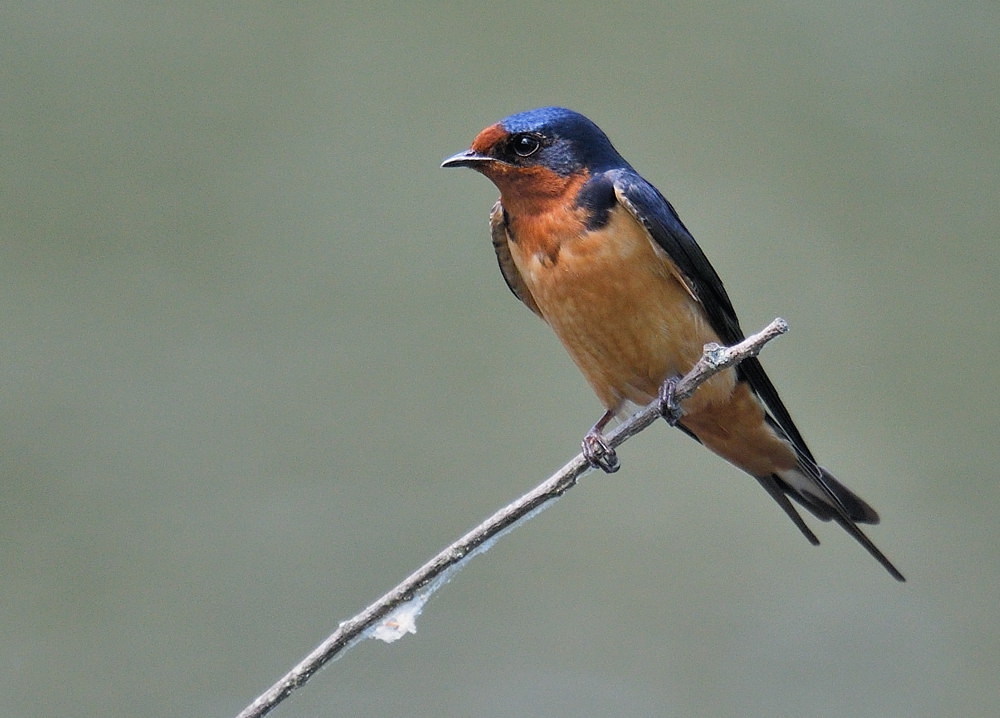 D50_3451.jpg