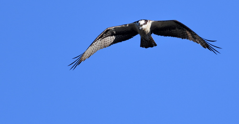 D50_6754.jpg