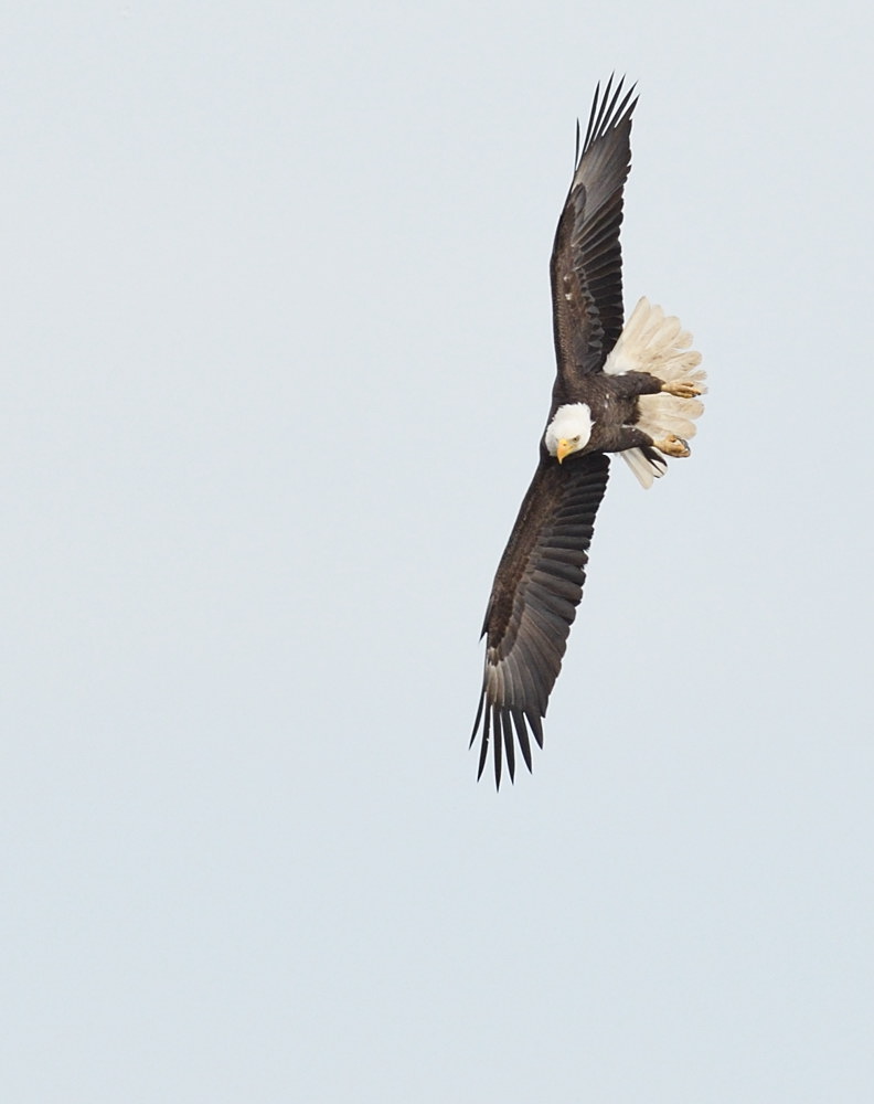 D50_9629.jpg