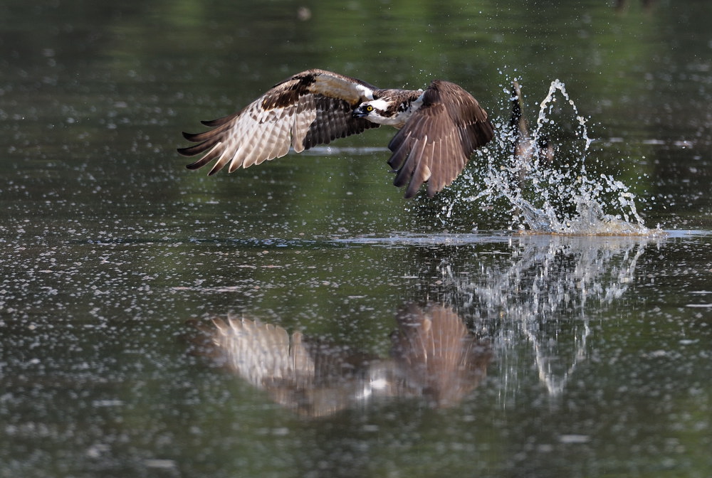 D51_2629.jpg