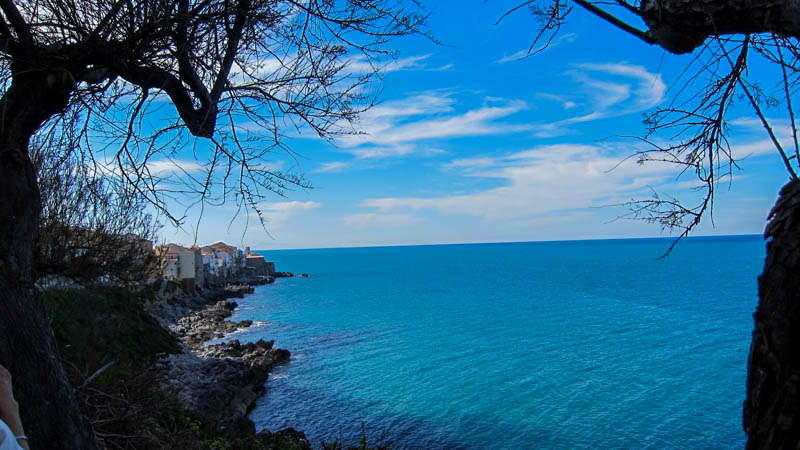 IMG_5593.jpg