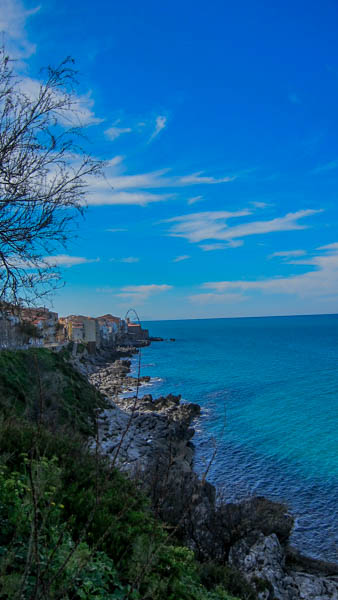 IMG_5594.jpg