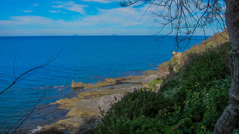 IMG_5595.jpg
