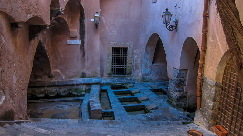 IMG_5598.jpg