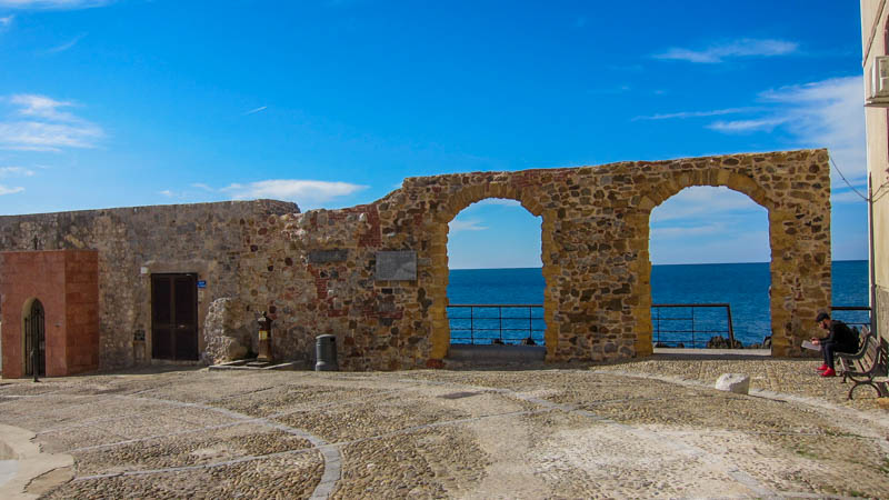 IMG_5600.jpg