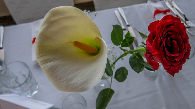 IMG_5610.jpg