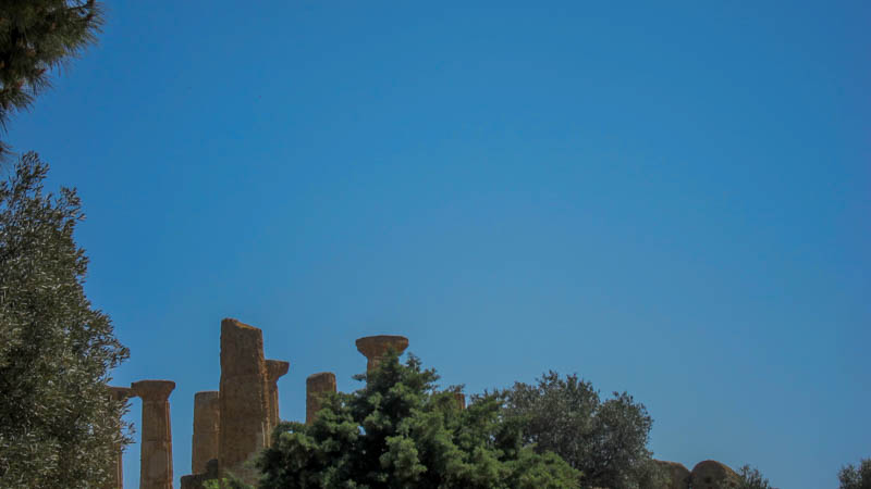 IMG_5637.jpg