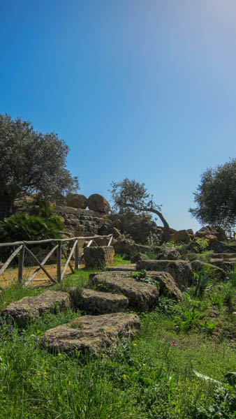 IMG_5652.jpg