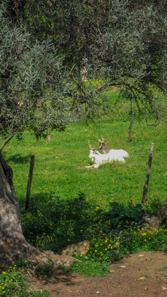 IMG_5672.jpg