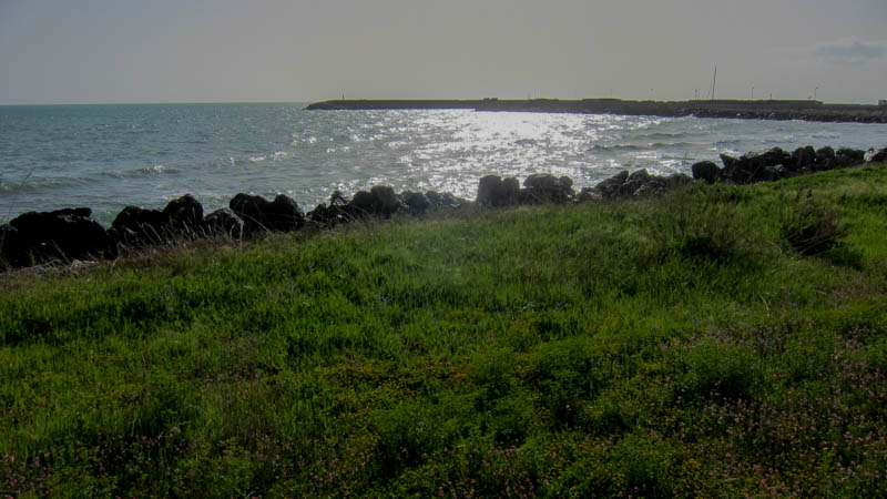 IMG_5690.jpg