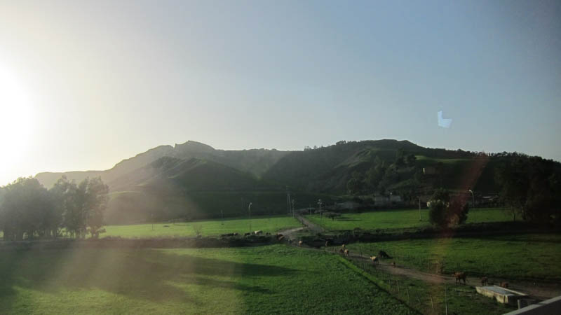 IMG_5694.jpg