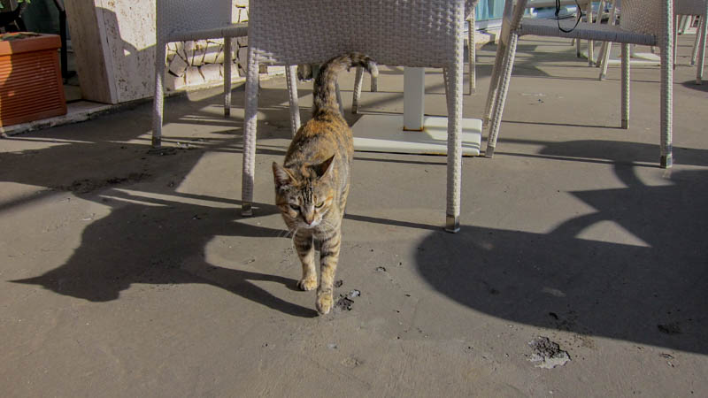 IMG_5695.jpg