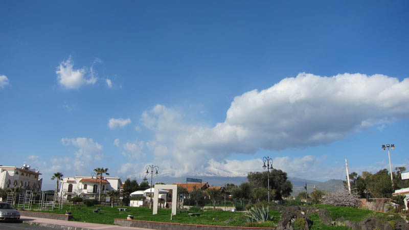 IMG_5705.jpg