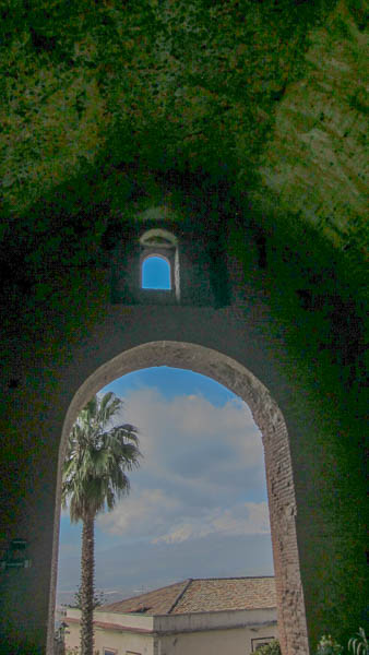 IMG_5733.jpg