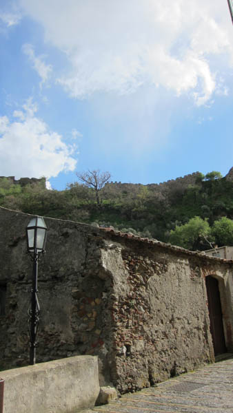 IMG_5758.jpg