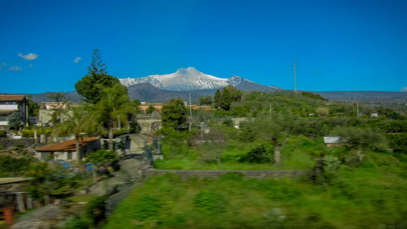 IMG_5781.jpg
