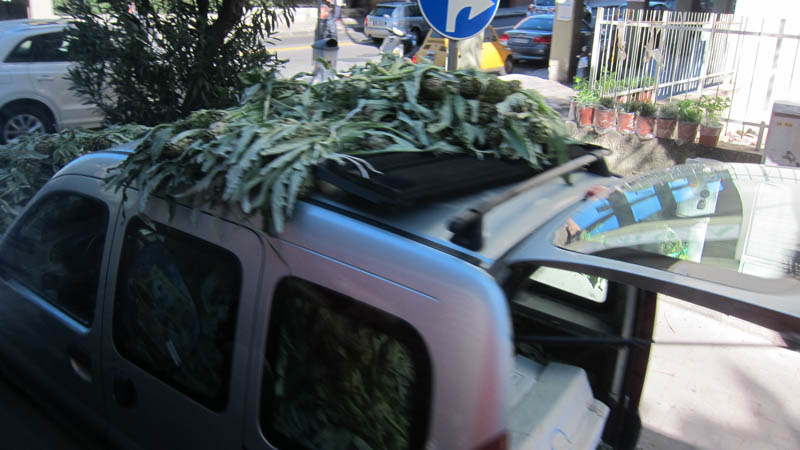 IMG_5782.jpg