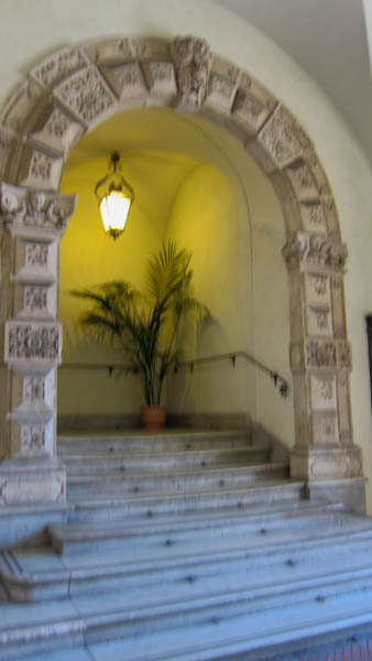 IMG_5795.jpg