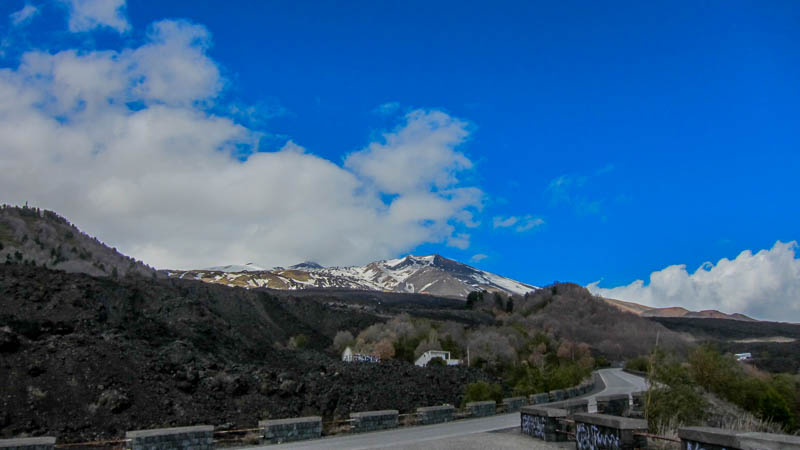 IMG_5845.jpg