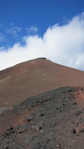 IMG_5853.jpg