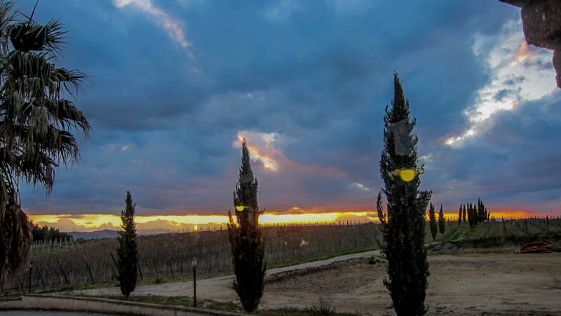 IMG_5886.jpg