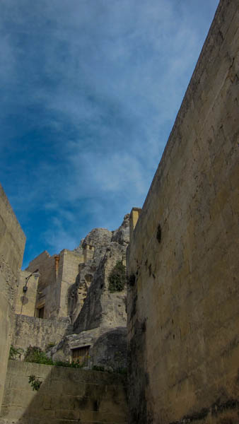 IMG_5916.jpg