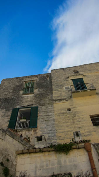 IMG_5939.jpg