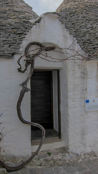 IMG_5967.jpg