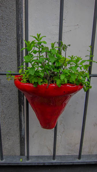 IMG_5983.jpg