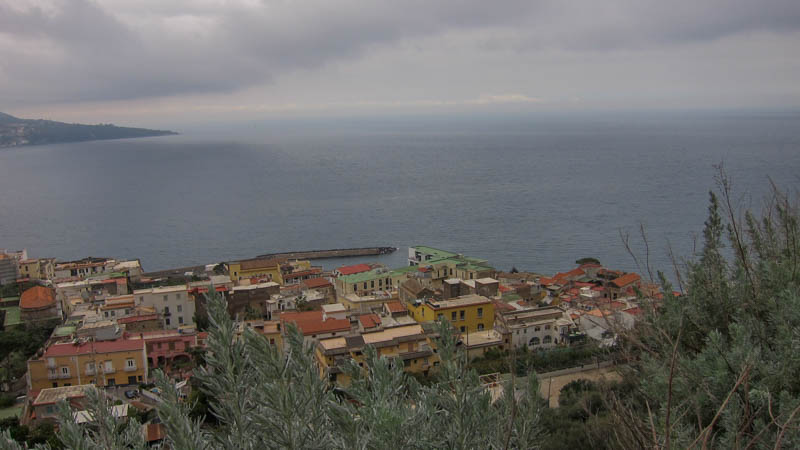 IMG_6003.jpg