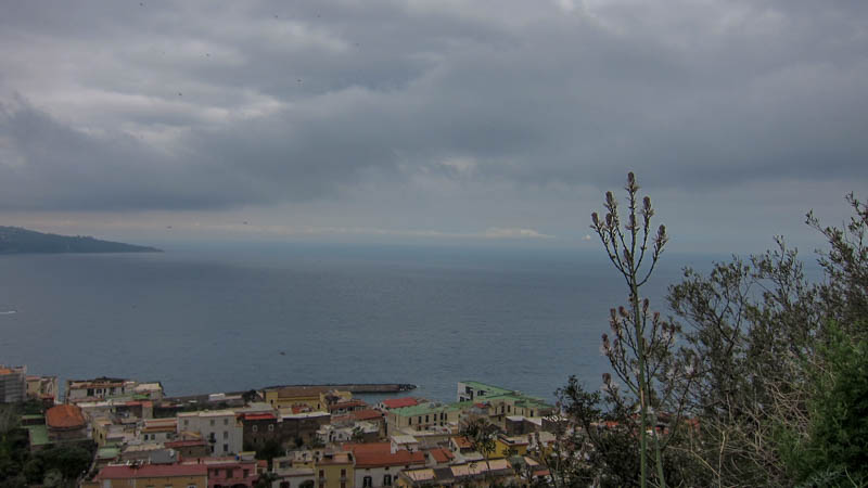 IMG_6004.jpg