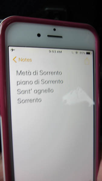 IMG_6007.jpg