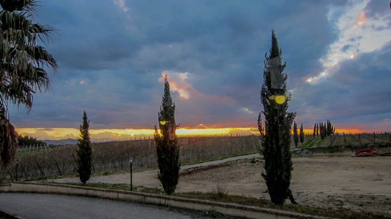 IMG_5885.jpg
