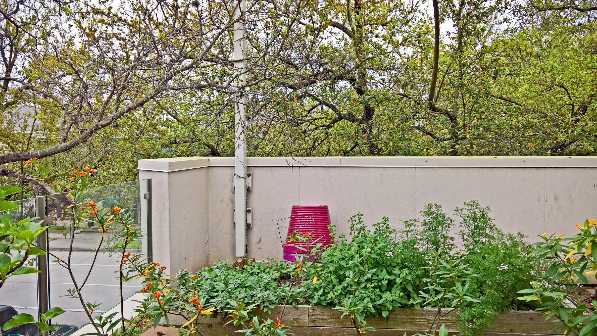 2710 Louisiana terrace garden large to NE