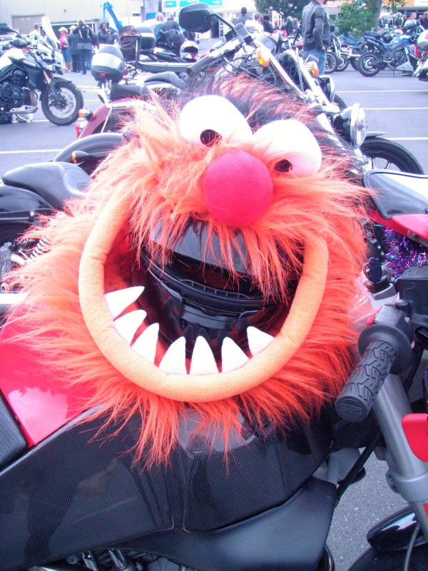 171125 Nelson Toy Run 29.jpg