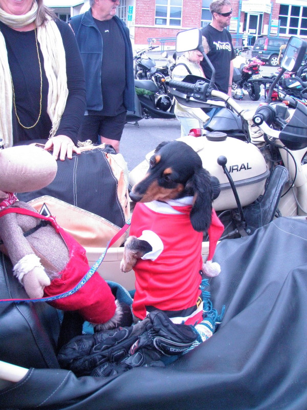 171125 Nelson Toy Run 33.jpg